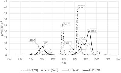 The Effect of Red & Blue Rich LEDs vs Fluorescent Light on Lollo Rosso Lettuce Morphology and Physiology